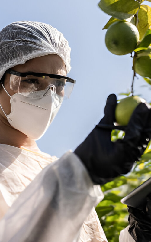 Downloader-La-218428